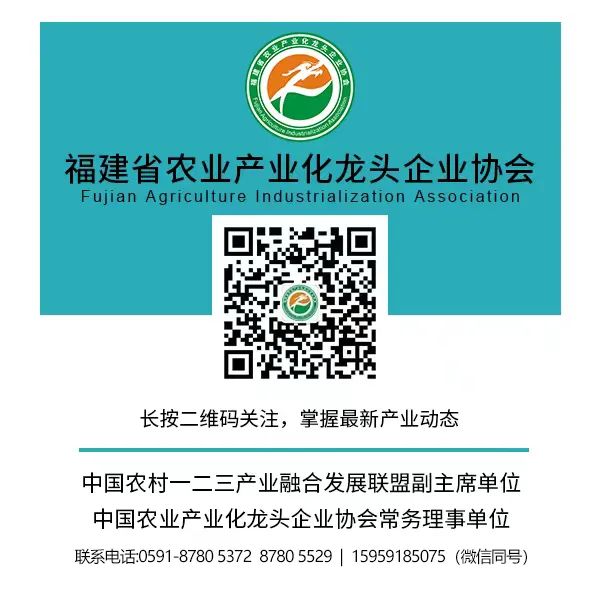 2024年福建省“粮九条”发布，最新扶持政策来了！