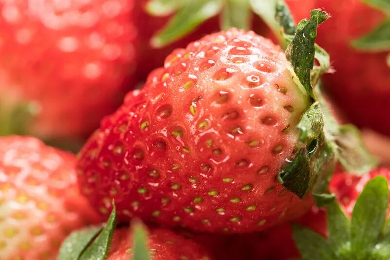 ���ݮ����������ġ����ǡ�С�ġ�������3�����У�һ��һ����~