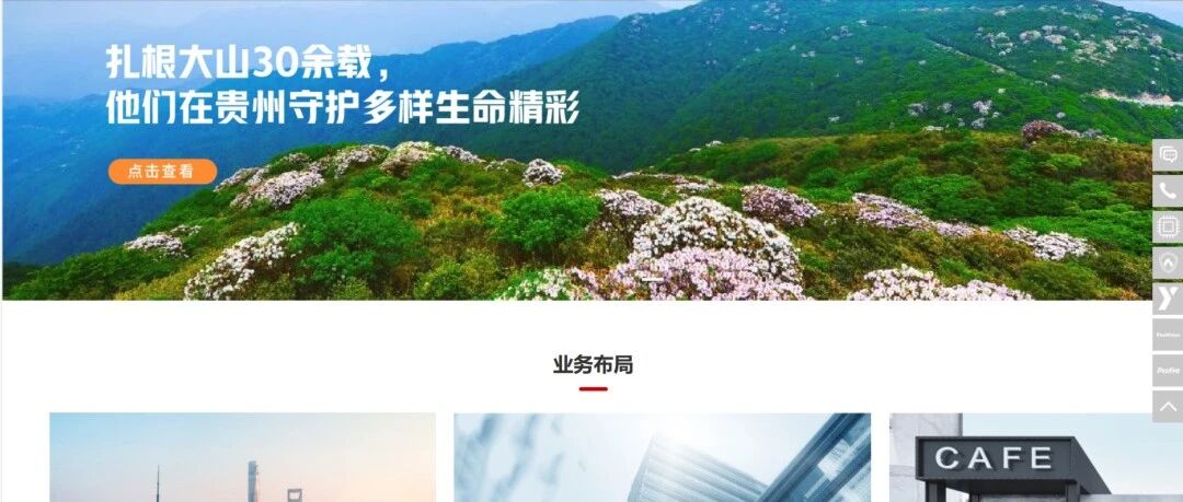 cover_image