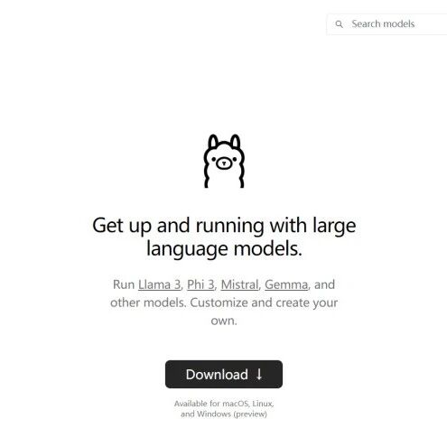 Example Image