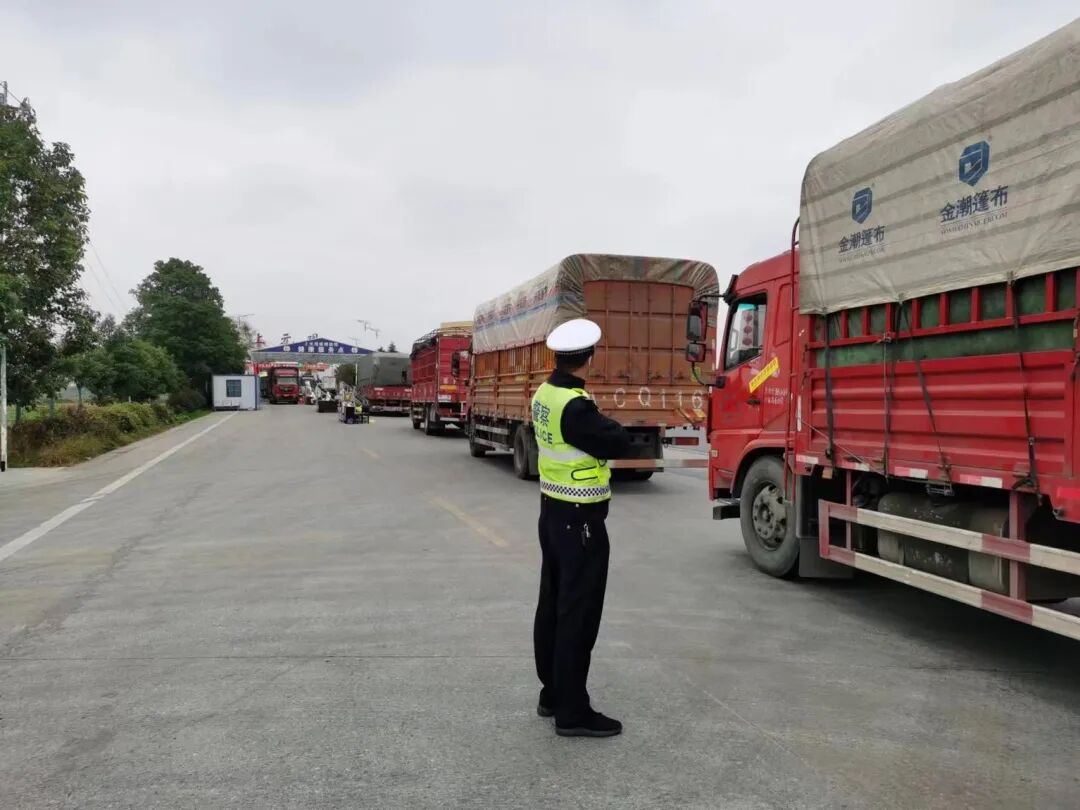 護(hù)航“綠色通道” 為柑桔運銷筑牢安全防線