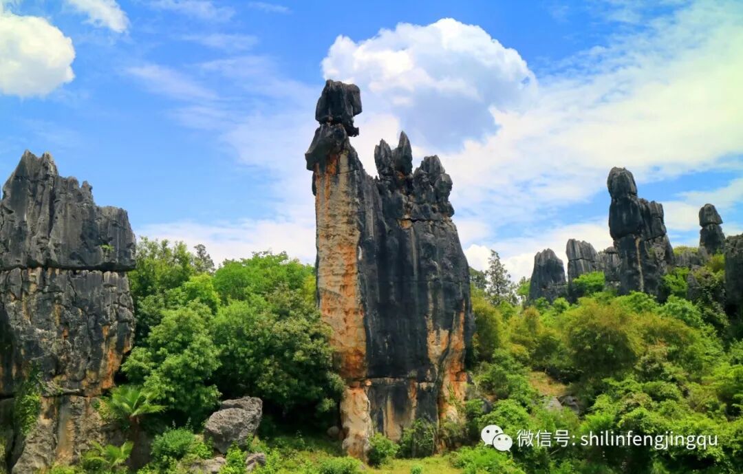 昆明石林风景区_石林景区回昆明 末班车_昆明石林景区游览路线