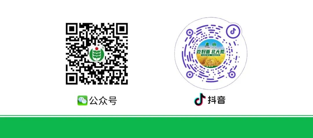 智聯招聘哈爾濱_哈爾濱智聯招聘保安最新信息_哈爾濱市智聯招聘網最新招聘