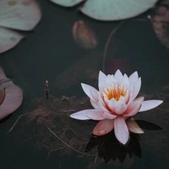 人生三句话： 句句都无价