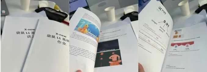 袋鼠数学竞赛
