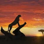 芒格38条投资建议：忘记错误本身就是一个可怕的错误