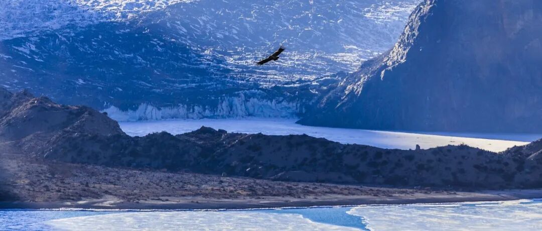 巴菲特股东大会最全实录：不靠宏观预测赚钱，比特币令人作呕！