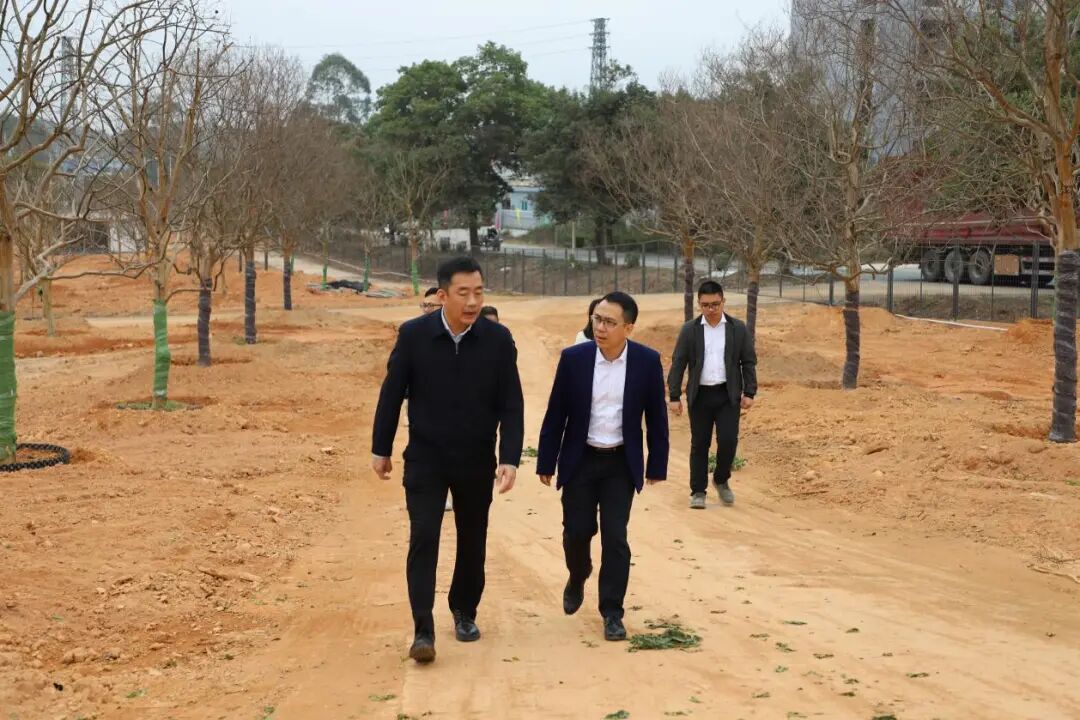 市领导谈润林陈伟成到苍城开展新春走访慰问安全生产检查和考察民生