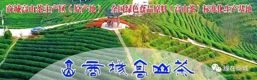 联通商城支付手机号怎么改_联通手机支付商城_打开联通商城