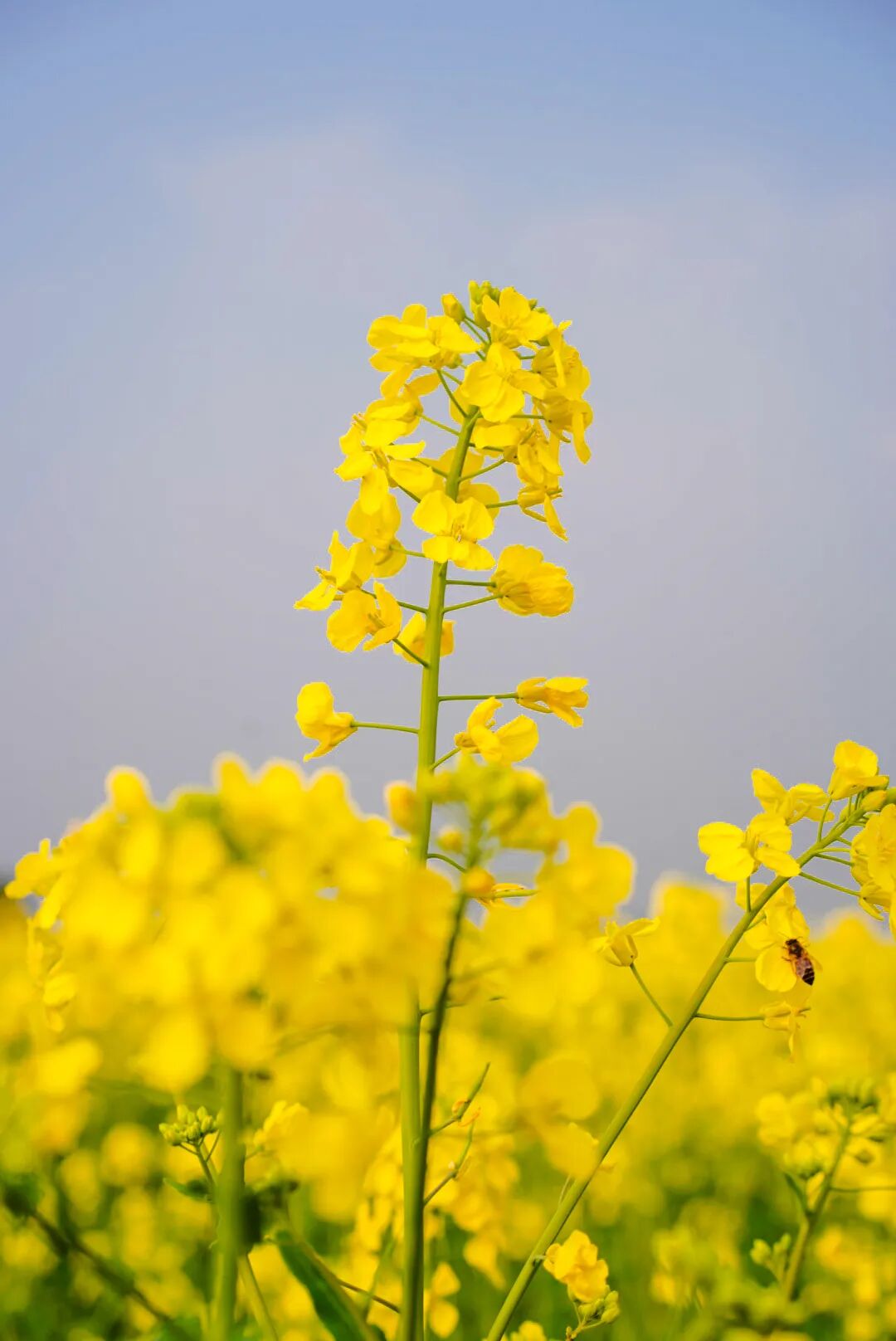 e842ec4b5e49fc35b018537656b0457.jpg