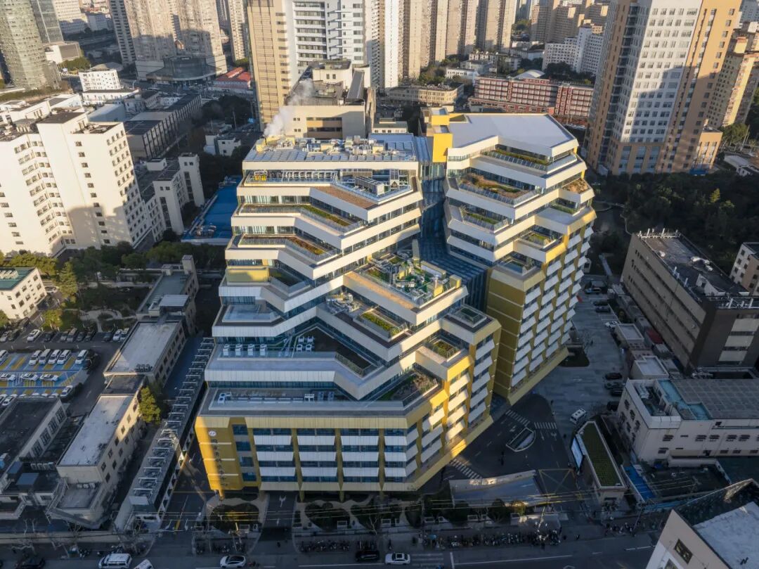 包含上海市第六人民医院（上海交通大学附属第六人民医院）跑腿代挂的词条