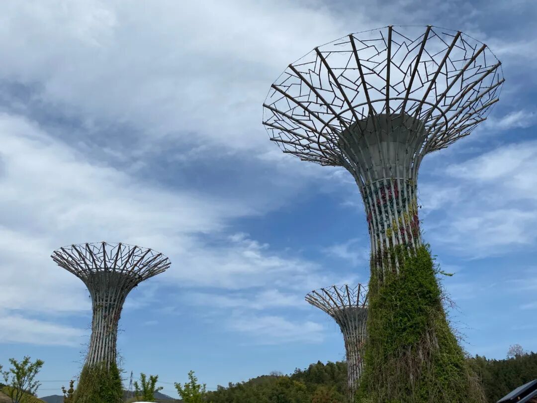 2020航空夏令营-431 