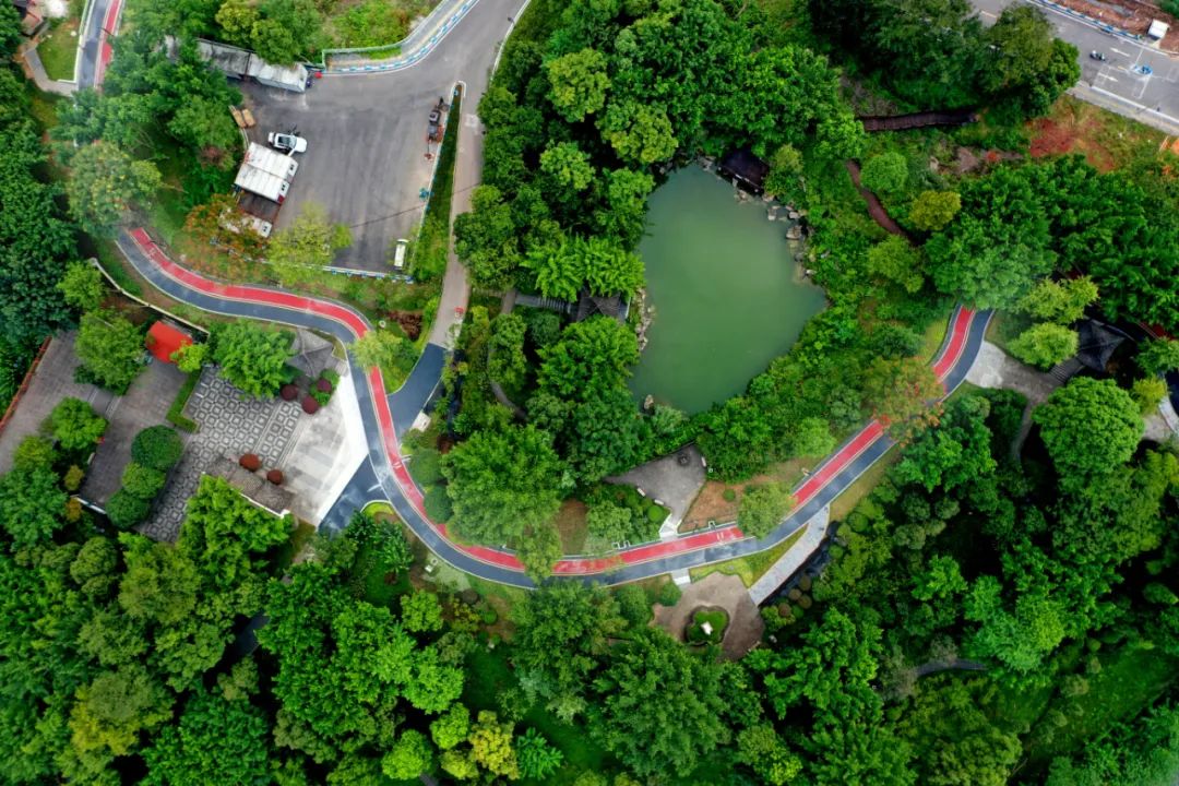 重庆主城16条登山步道图片