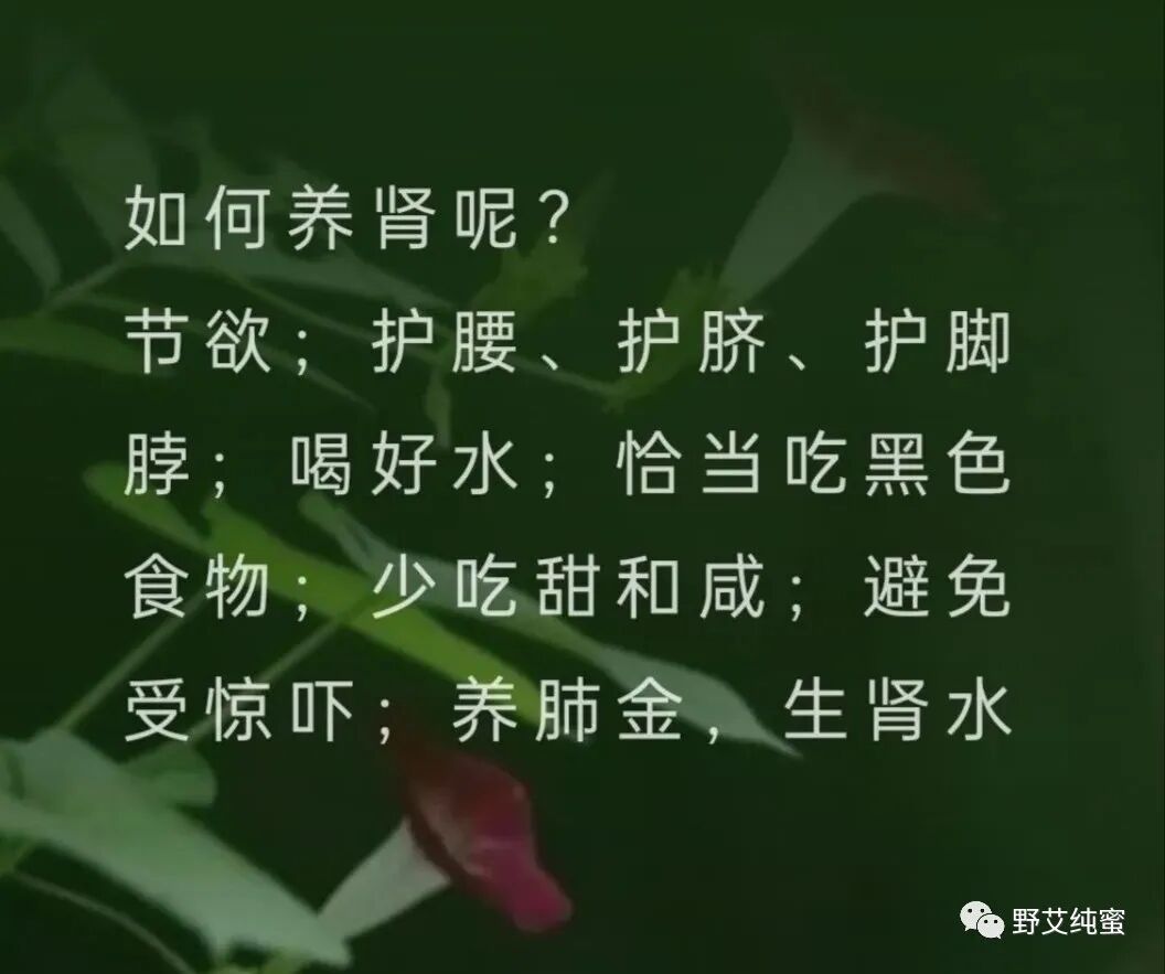 三九灸：阳气不足灸背来补