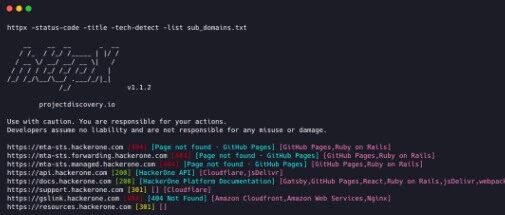 Example Image