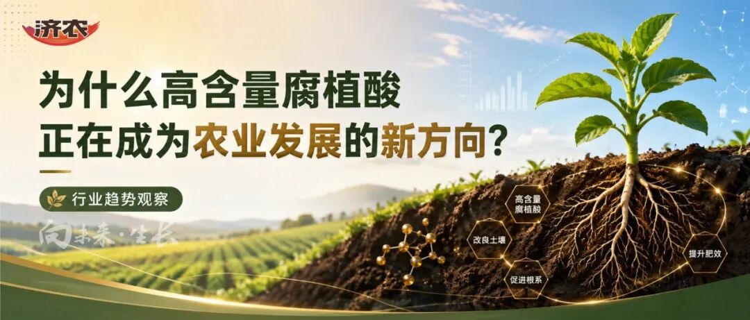 济农NEXT｜为什么高含量腐植酸正在成为农业发展的新方向？(图1)