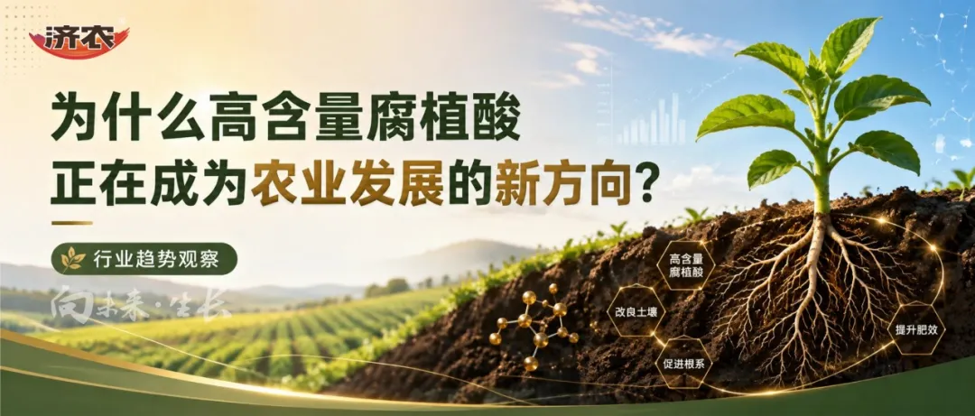 济农NEXT|为什么高含量腐植酸正在成为农业发展的新方向?(图1) 济农NEXT|为什么高含量腐植酸正在成为农业发展的新方向?(图1)
