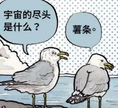 为什么所有海鸥都想去码头整点薯条？
