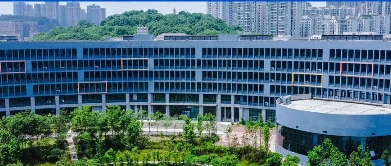重庆对外经贸学院丨信息技术中心网络与信息安全部部长招聘公告
