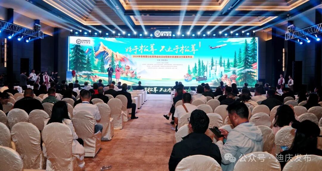 盘点2024年我们共同经历的高光时刻→(图13)