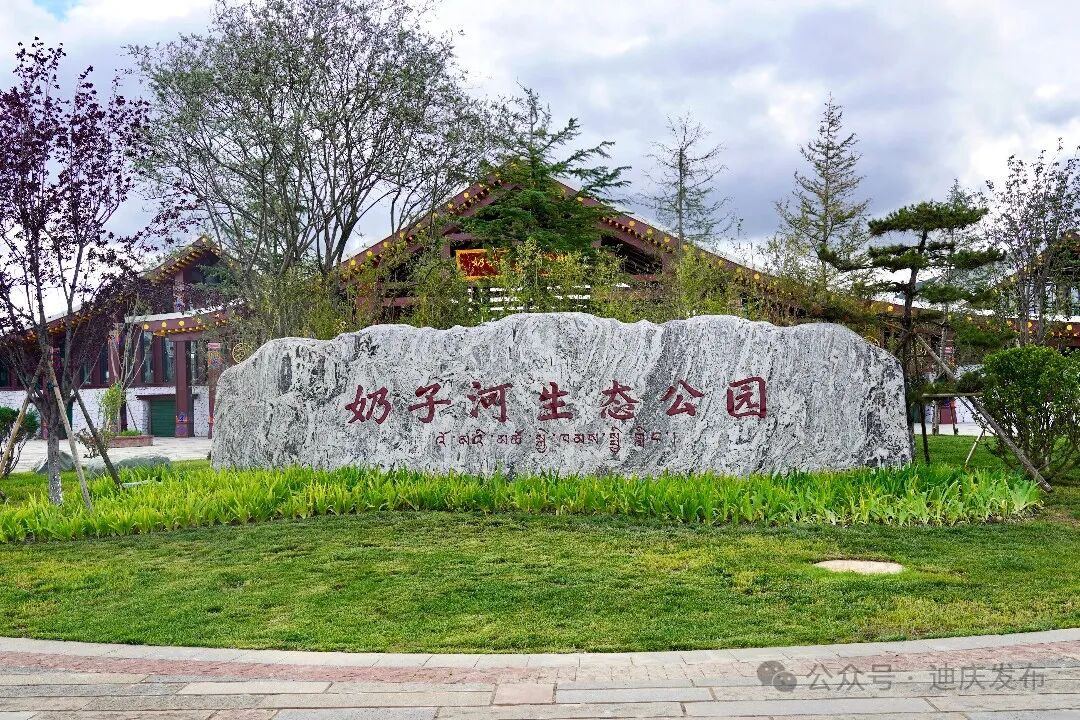 盘点2024年我们共同经历的高光时刻→(图14)