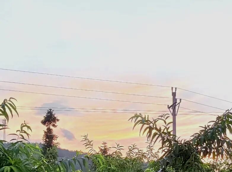 (总1431期)李方桃老来小病莫小视