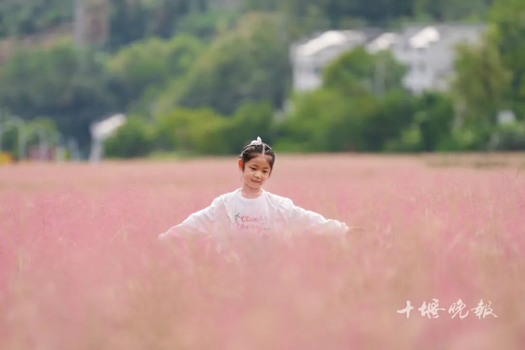 2025年进入倒计时！这些十堰人舍不得删的照片，哪张戳中了你的心？