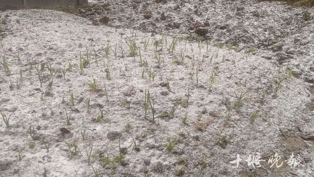 十堰多地降雪，更大的雪在今晚！春节还会下吗？气象资料显示……