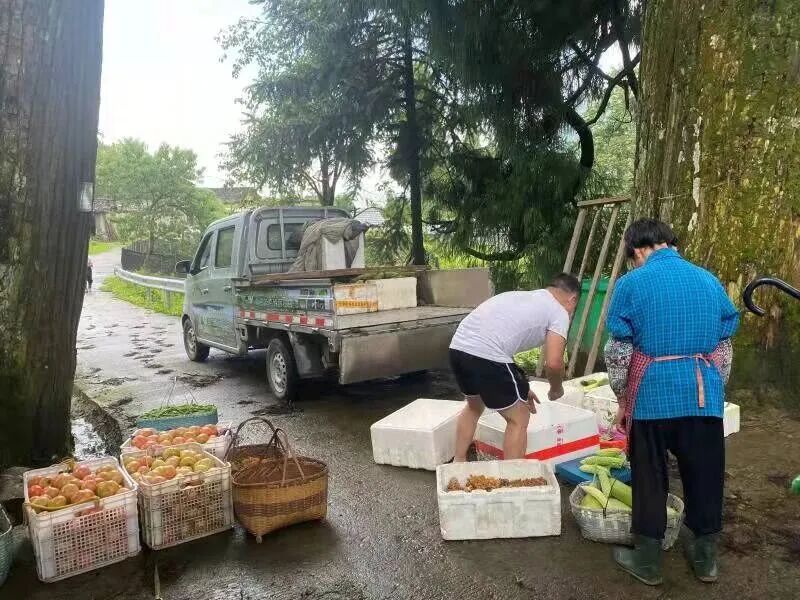 微信图片_2026-05-07_075747_856.jpg