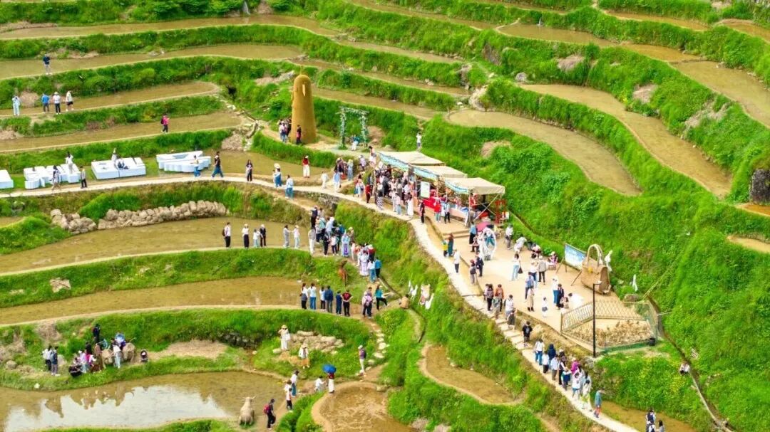 微信图片_2026-05-07_074539_065.jpg