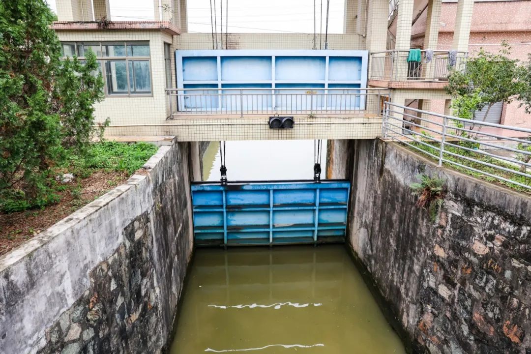 首页>政务公开>鸡笼水闸建于上世纪五十年代初,建设标准低,经多年运行