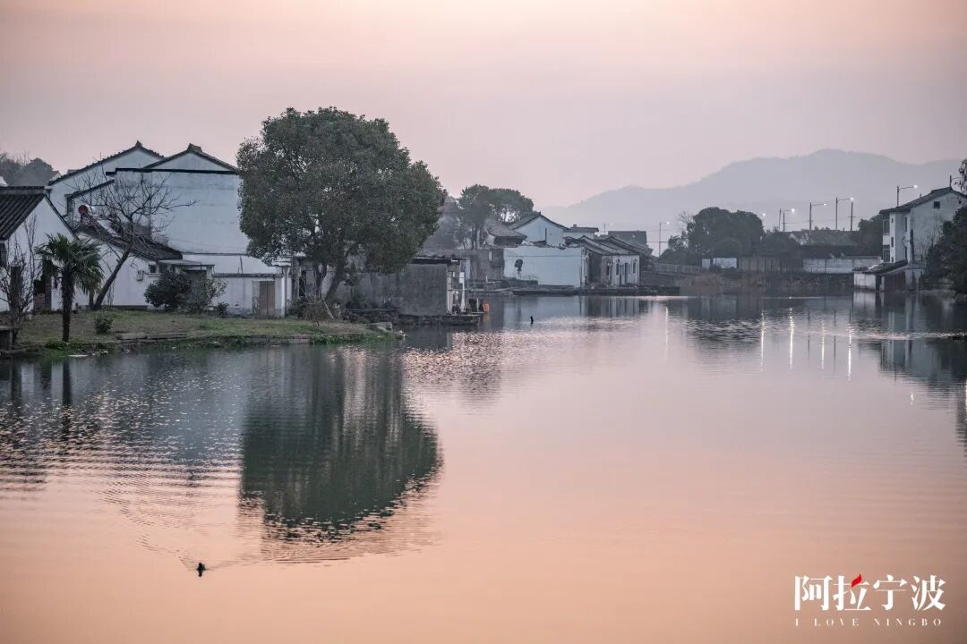 宁波东钱湖|来"陶麓"看看人间烟火与理想