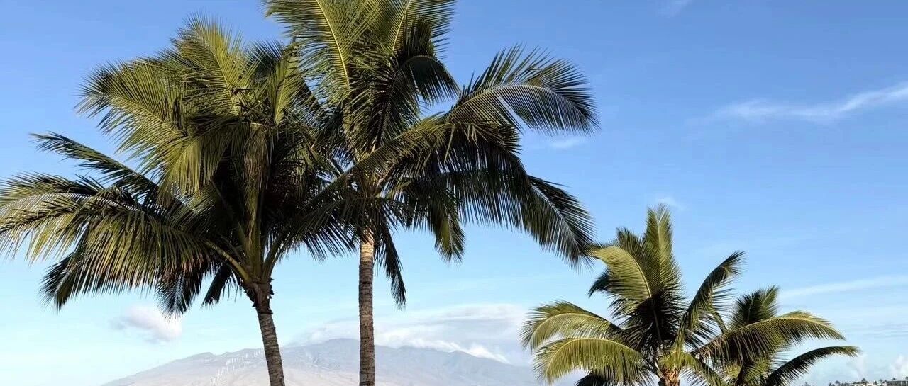 白冰补税1891万,顶流探店网红翻车