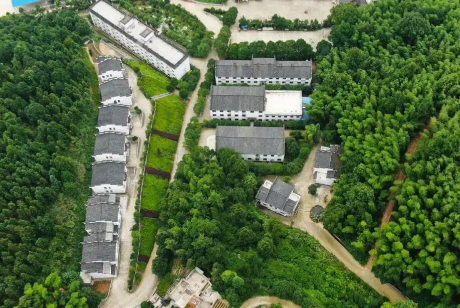 周末你不去这登山采摘露营吗