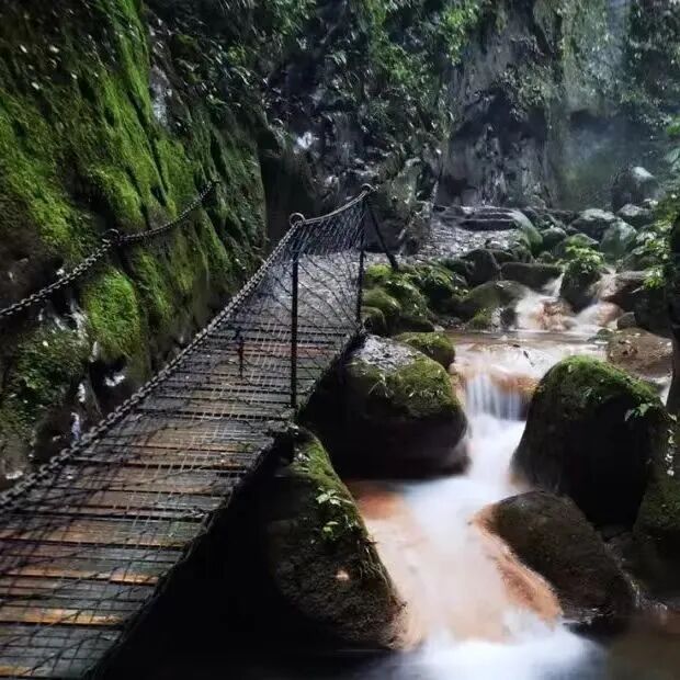 图/襄阳文化旅游图/南漳发布当踏入「翡翠峡景区」,一股清凉之意便扑