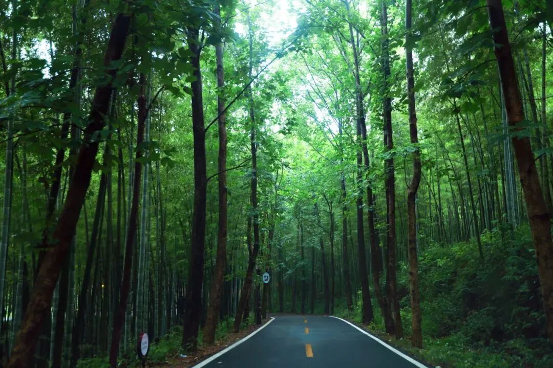 蜜小镇白崖山景区图/恩施坪坝营景区图/鹿门景区图/麻城旅游-鹿门寺国