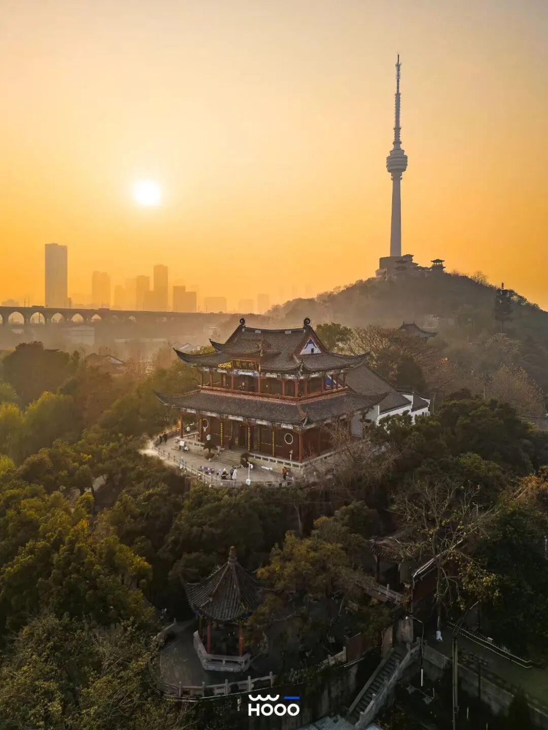 免费速来打卡武汉龟山公园樱花盛放啦