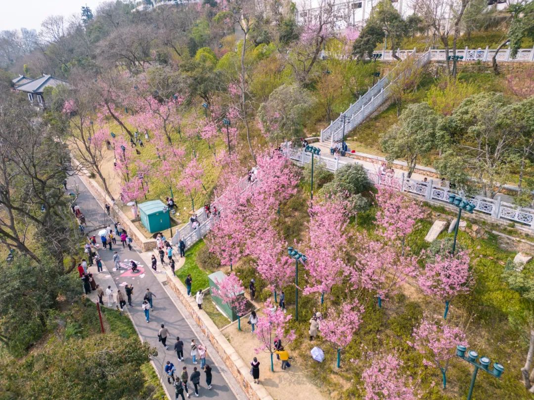 武汉龟山路线图图片