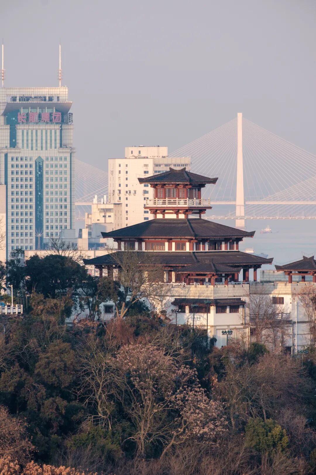 免费速来打卡武汉龟山公园樱花盛放啦