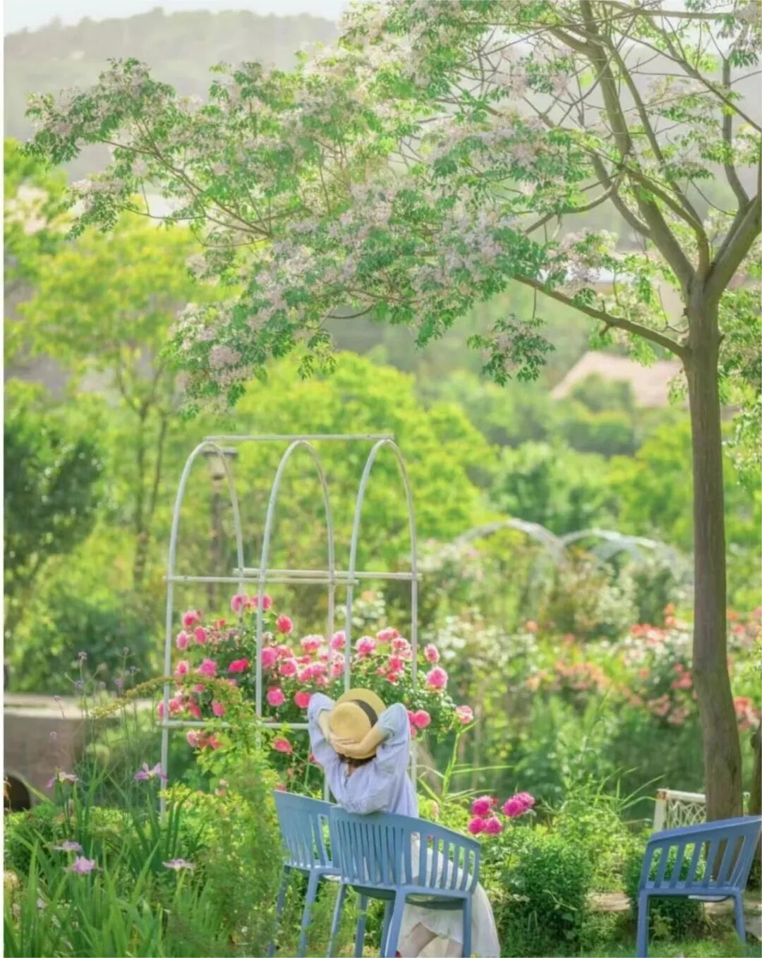 湖北"莫奈花园"被我找到了!