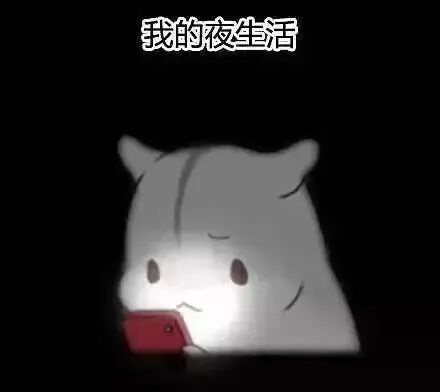 12款小红书&抖音点赞过万的东西！个个好用到飞起！