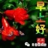 亲爱的朋友，一首《思念》送给我牵挂的人！