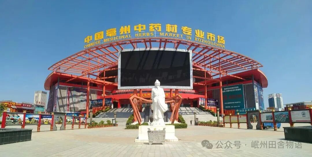 黄芪的涨跌规律探究