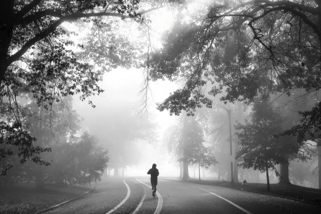 ▼臧敏《孤独的奔跑者》▼袁英《山雨欲来风满"田"》▼尹巍《快乐蜗居