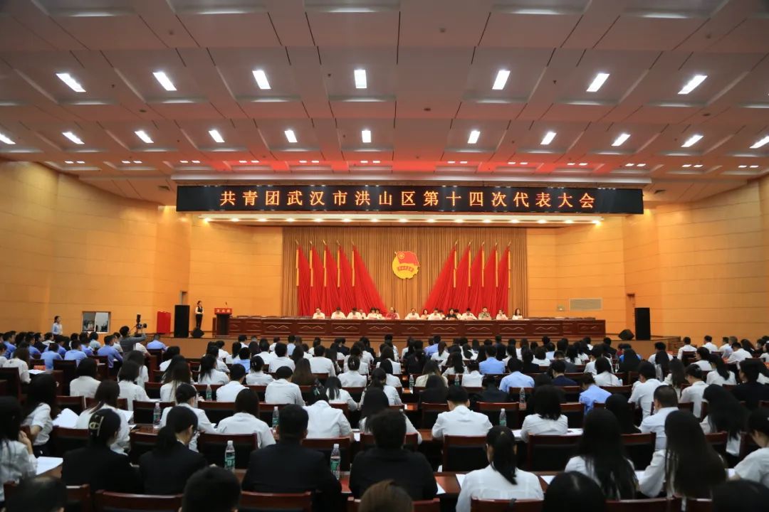 共青团武汉市洪山区第十四次代表大会开幕