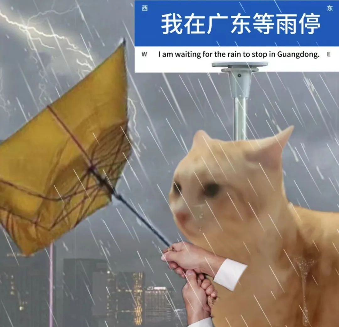 平安文化宣传 | 夏季多雨行车难？快来get这些雨天行车提示！