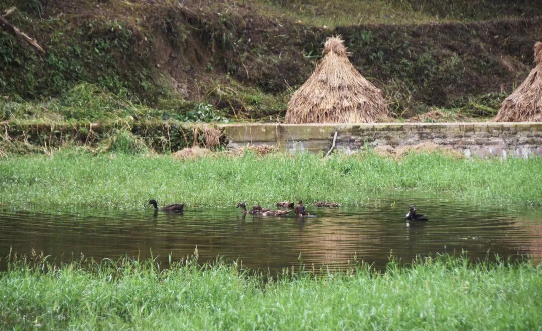 构皮滩镇人居环境再整治颜值气质双提升