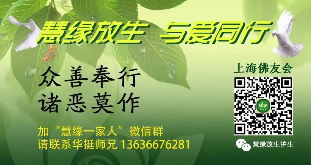 《2023年5月14日母亲节嘉兴一日行意外风险责任承诺书》(6月25日嘉兴)