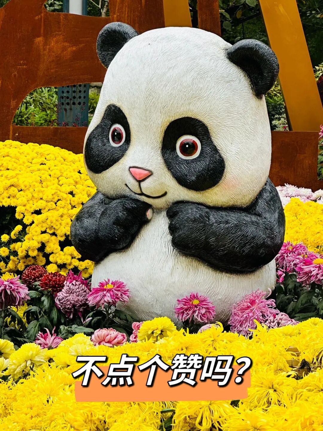 重庆长江中露出600年历史石佛