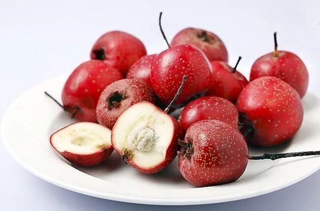 放炖牛肉放什么调料_炖牛肉三放三不放_炖牛肉放啥好吃